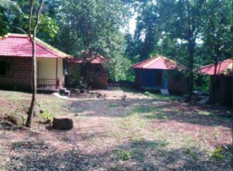 Zing N Swing Rural Resort, Sindhudurg 1